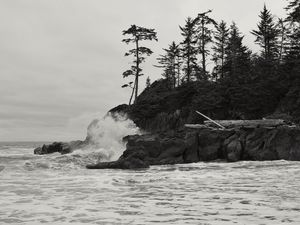 Preview wallpaper rock, trees, sea, spray, black and white