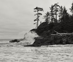 Preview wallpaper rock, trees, sea, spray, black and white