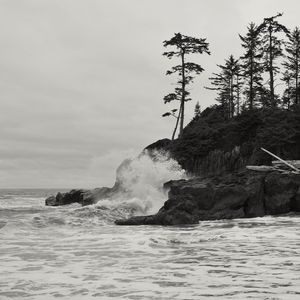 Preview wallpaper rock, trees, sea, spray, black and white