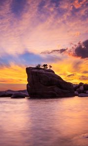 Preview wallpaper rock, trees, sea, evening, landscape