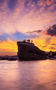 Preview wallpaper rock, trees, sea, evening, landscape