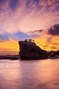 Preview wallpaper rock, trees, sea, evening, landscape