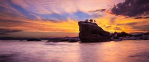 Preview wallpaper rock, trees, sea, evening, landscape