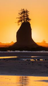 Preview wallpaper rock, trees, silhouette, sunset, coast