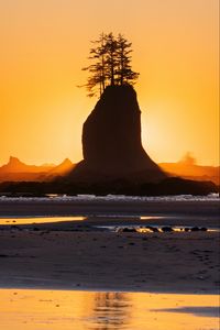 Preview wallpaper rock, trees, silhouette, sunset, coast