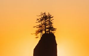 Preview wallpaper rock, trees, silhouette, sunset, coast