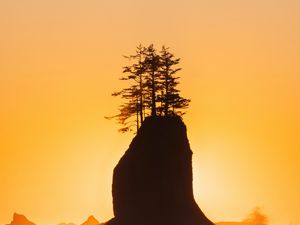 Preview wallpaper rock, trees, silhouette, sunset, coast