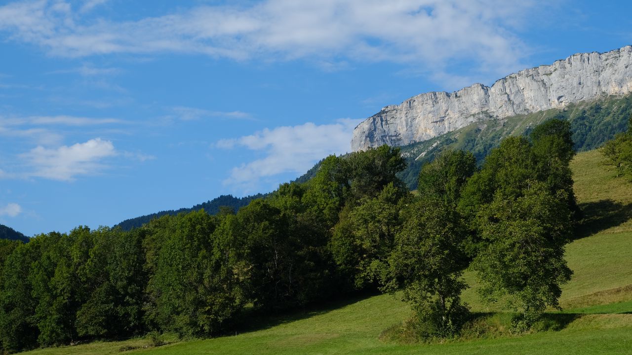 Wallpaper rock, trees, slope, landscape