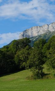 Preview wallpaper rock, trees, slope, landscape