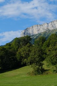 Preview wallpaper rock, trees, slope, landscape