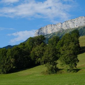 Preview wallpaper rock, trees, slope, landscape