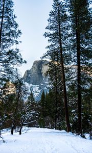 Preview wallpaper rock, trees, snow, winter, nature