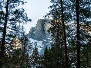 Preview wallpaper rock, trees, snow, winter, nature