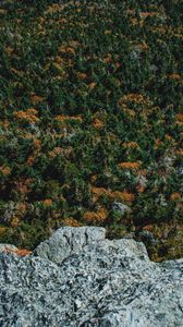 Preview wallpaper rock, trees, stone, aerial view