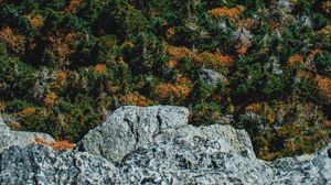 Preview wallpaper rock, trees, stone, aerial view