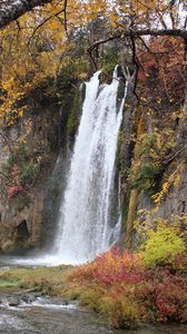 Preview wallpaper rock, waterfall, water, branches, trees, nature