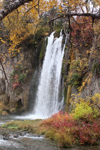 Preview wallpaper rock, waterfall, water, branches, trees, nature