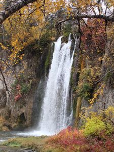 Preview wallpaper rock, waterfall, water, branches, trees, nature