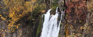 Preview wallpaper rock, waterfall, water, branches, trees, nature
