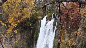 Preview wallpaper rock, waterfall, water, branches, trees, nature