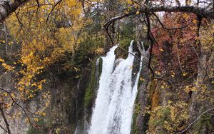 Preview wallpaper rock, waterfall, water, branches, trees, nature