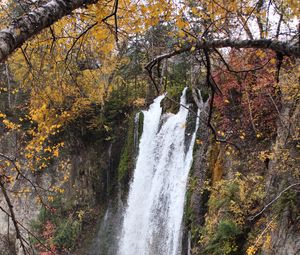 Preview wallpaper rock, waterfall, water, branches, trees, nature