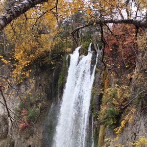 Preview wallpaper rock, waterfall, water, branches, trees, nature