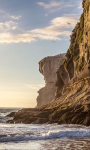 Preview wallpaper rock, waves, birds, cliff