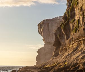 Preview wallpaper rock, waves, birds, cliff