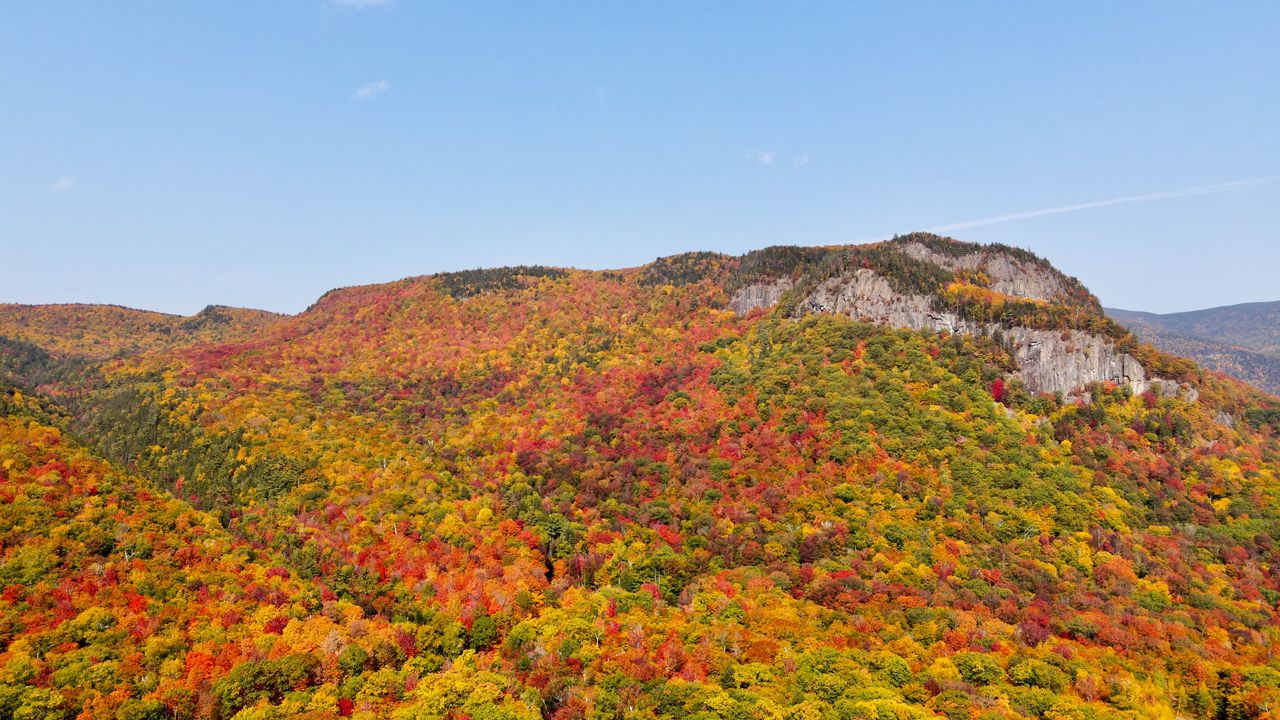 Wallpaper rocks, autumn, trees, forest