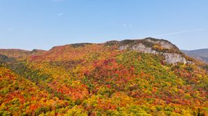Preview wallpaper rocks, autumn, trees, forest