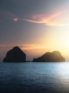 Preview wallpaper rocks, birds, sea, sky, dusk