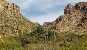 Preview wallpaper rocks, cacti, greenery, nature, landscape