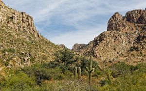 Preview wallpaper rocks, cacti, greenery, nature, landscape