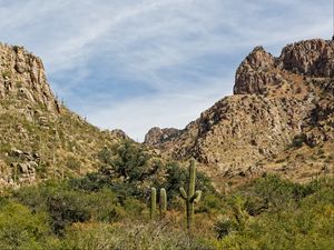 Preview wallpaper rocks, cacti, greenery, nature, landscape