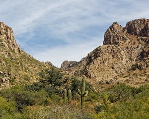 Preview wallpaper rocks, cacti, greenery, nature, landscape