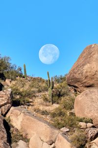 Preview wallpaper rocks, cacti, moon, landscape