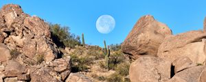 Preview wallpaper rocks, cacti, moon, landscape