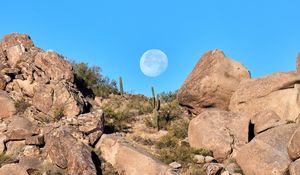 Preview wallpaper rocks, cacti, moon, landscape