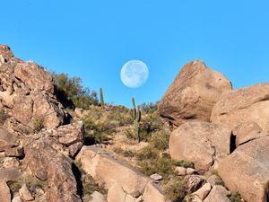 Preview wallpaper rocks, cacti, moon, landscape