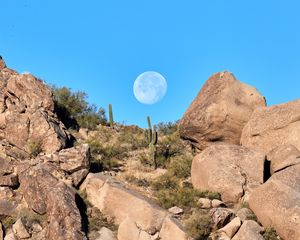 Preview wallpaper rocks, cacti, moon, landscape