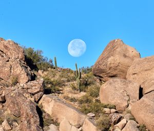 Preview wallpaper rocks, cacti, moon, landscape