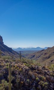 Preview wallpaper rocks, cacti, nature, landscape