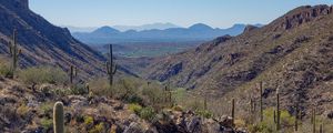 Preview wallpaper rocks, cacti, nature, landscape