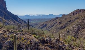 Preview wallpaper rocks, cacti, nature, landscape