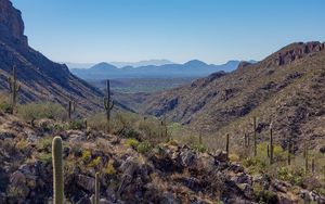 Preview wallpaper rocks, cacti, nature, landscape