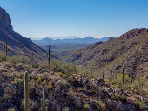 Preview wallpaper rocks, cacti, nature, landscape