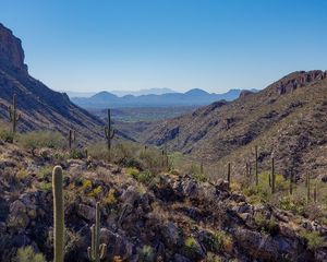 Preview wallpaper rocks, cacti, nature, landscape