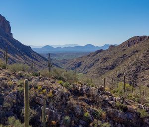 Preview wallpaper rocks, cacti, nature, landscape