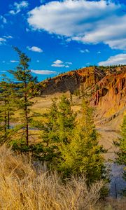Preview wallpaper rocks, canyon, trees, landscape